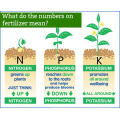 Dr Aid Wholesale Chemical NPK Liquid Fertilizante Osmocote NPK 14 14 14 NPK 15 15 15 Fertilizer pour l&#39;Europe